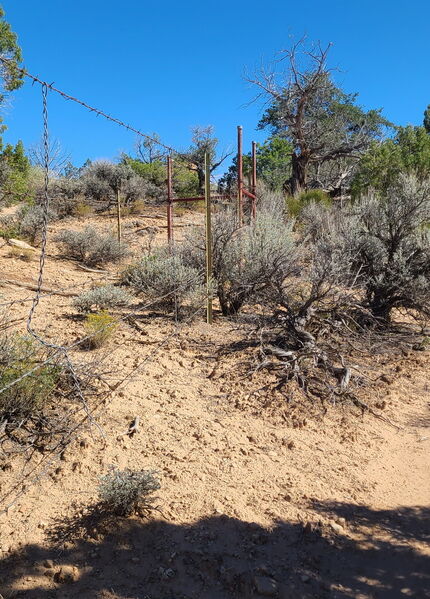 File:Venom Canyon pic012.jpg