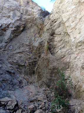 Vogel Canyon (Sunyata Fork) Banner.jpg
