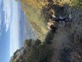 Thumbnail for version as of 17:11, 3 January 2021