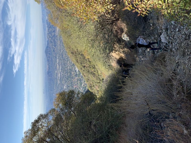 File:FILE-20210103170031.jpg
