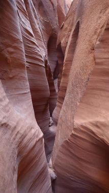 Purgatory Canyon (Dave's Not Dead) Banner.jpg