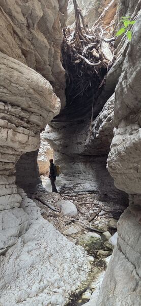 File:Spur Canyon pic011.jpg