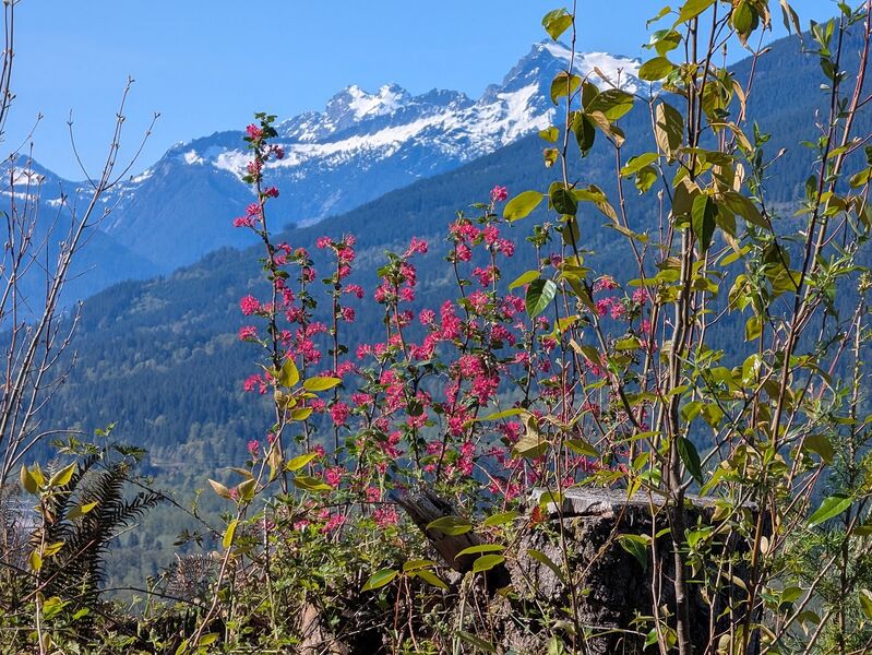 File:Suiattle Falls photo1.jpg