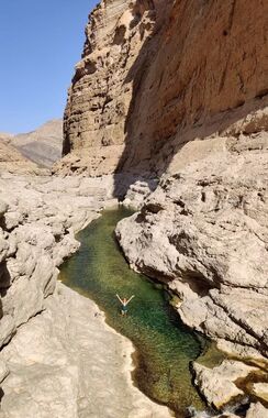 Al Arbeieen Banner.jpg