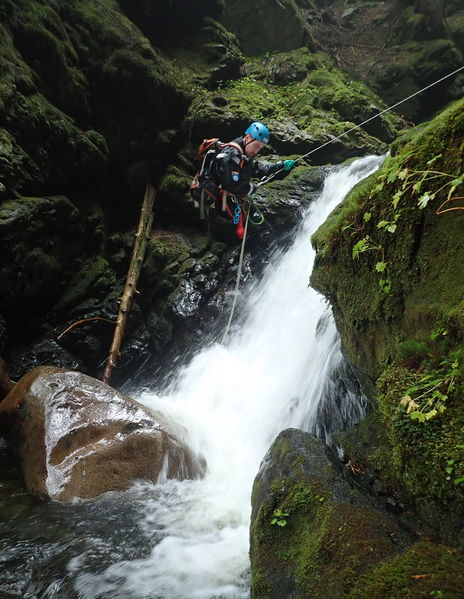 File:Hawthorn intro5.JPG