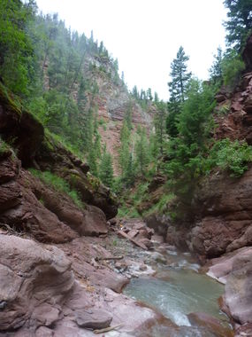 Red Creek Banner.jpg