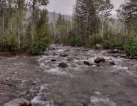 Lime Creek (Durango)-20220815002929 pic.jpg