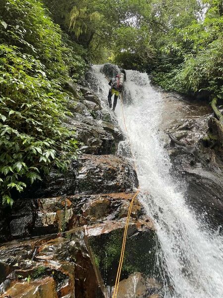 File:McKenzie (Gloucester Tops) pic2.jpg