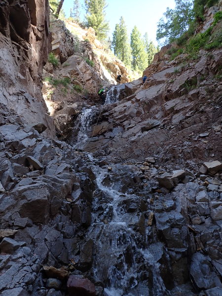 File:Sheepdog Creek pic6.jpg