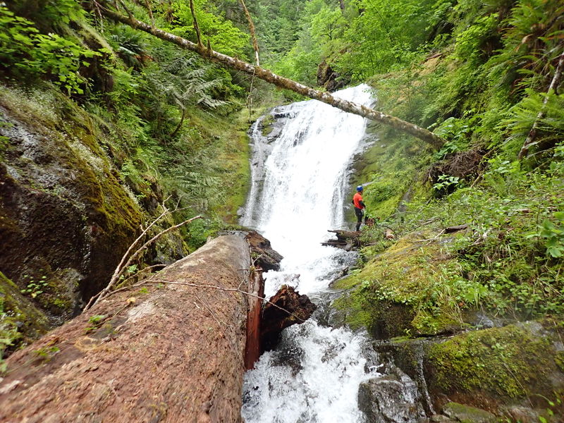 File:Panther Creek (Oregon) R4.jpg