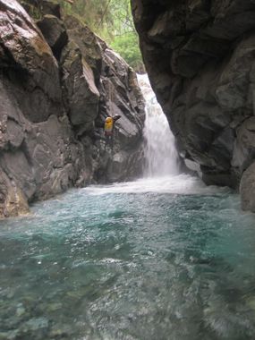 Rovana di Bosco Banner.jpg