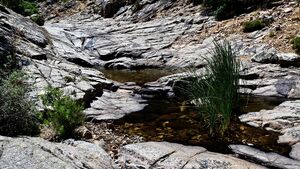 Rio OriddaIMG 20260617 203157.jpg