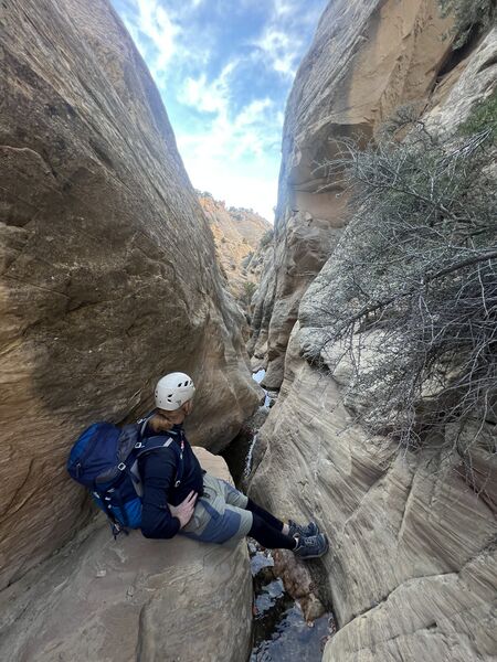 File:Bearwater Canyon pic8.jpg