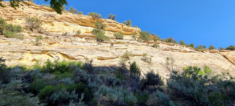File:Carcass Canyon (Dinosaur) pic20.jpg