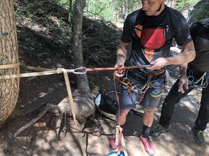 FILE-20190522160807.jpg