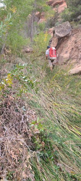 File:Knee Canyon (North) pic009.jpg