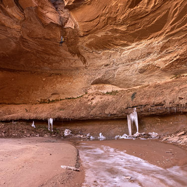 Maybe Mindbender Canyon Banner.jpg