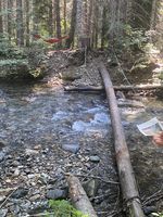 Mineral Creek (Alpine Lakes)-20210714042926 pic.jpg
