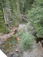 Panther Creek (Mount Rainier National Park)-20200907191353 pic.jpg