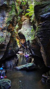 Ashcroft Ravine Banner.jpg