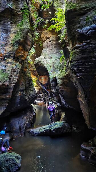 File:Ashcroft Ravine Banner.jpg