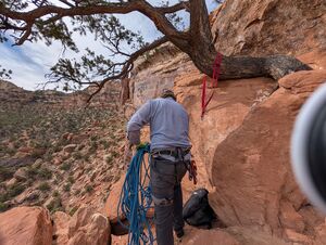 PXL 20260314 193413698.jpg