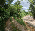 Thumbnail for version as of 14:57, 18 December 2022