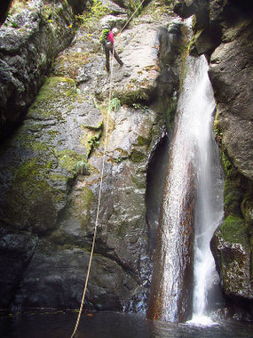 Hardy Creek Banner.jpg