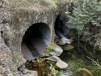 Crystal Brook-20240408063426 pic.jpg