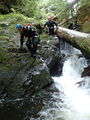 Thumbnail for version as of 05:09, 28 October 2020