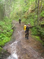 Northwoods Creek-20190520061258 pic.jpg
