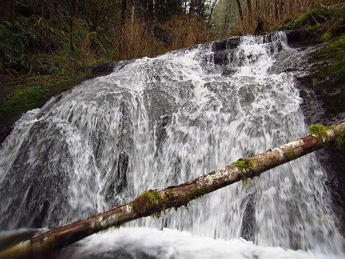 Archer Creek-20170504153048 pic.jpg