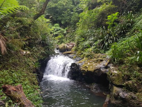 Black Canyon (QLD)-20240131033922 pic.jpg