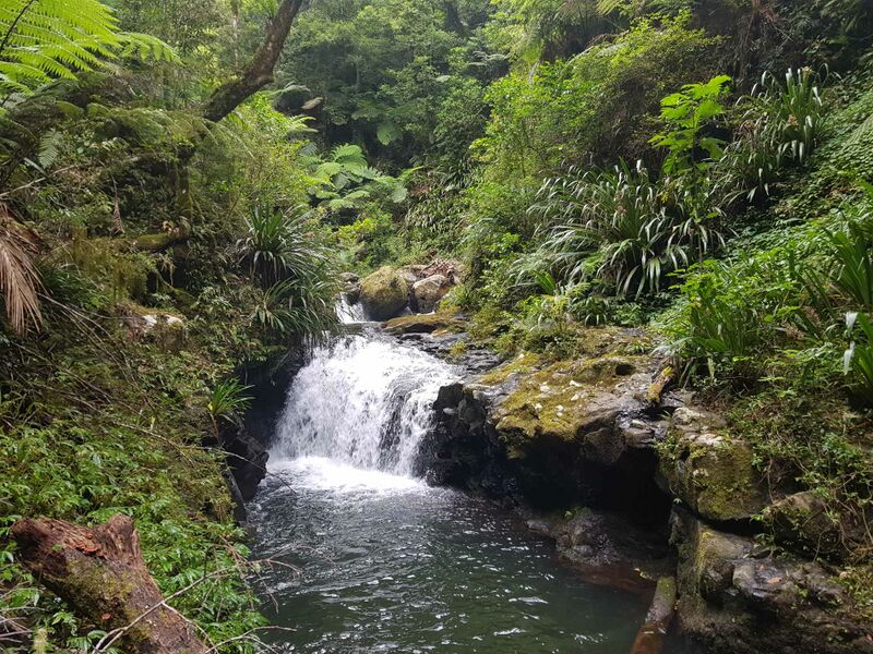 File:Black Canyon (QLD)-20240131033922 pic.jpg