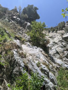 Cesario Canyon Banner.jpg
