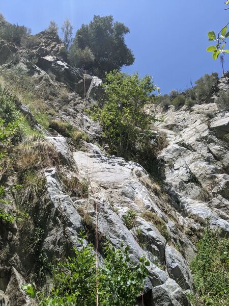 File:Cesario Canyon Banner.jpg