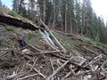 Thumbnail for version as of 13:41, 9 February 2023