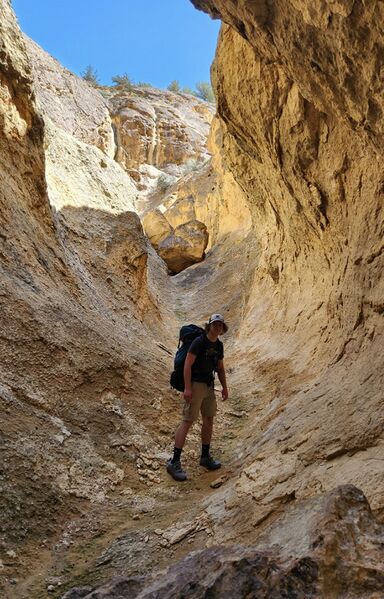 File:Dago Gulch (Leslie Gulch) Banner.jpg