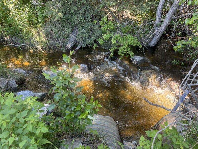 File:Palisades Canyon palisadeshighwaycreektoohigh.jpg