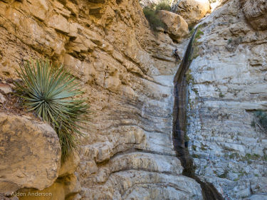 Derrydale Creek Banner.jpg