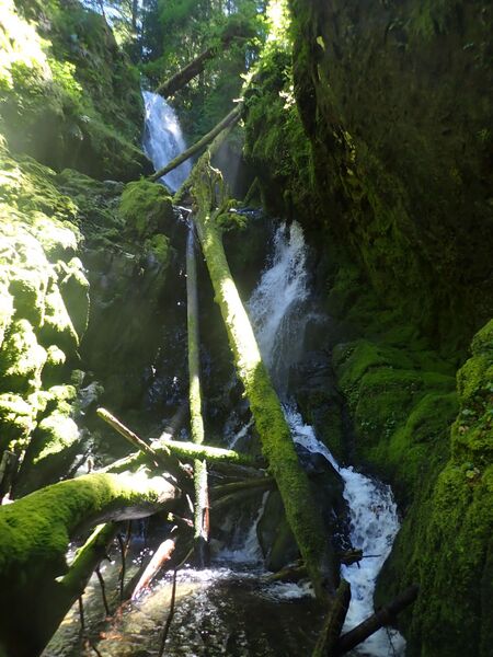 File:Heater Creek R1.jpg