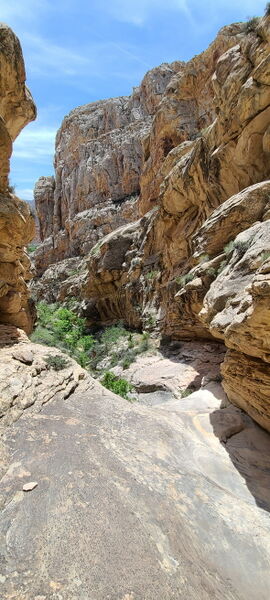 File:Hog Canyon in Dinosaur NM pic11.jpg