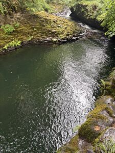 IMG 4275.jpeg