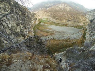 Napoleon Falls Banner.jpg