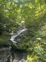 The Alley-20250917040041 pic.jpg