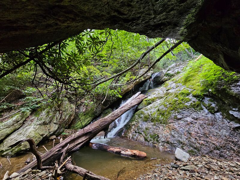 File:Tough Hill Branch R5-1.jpg