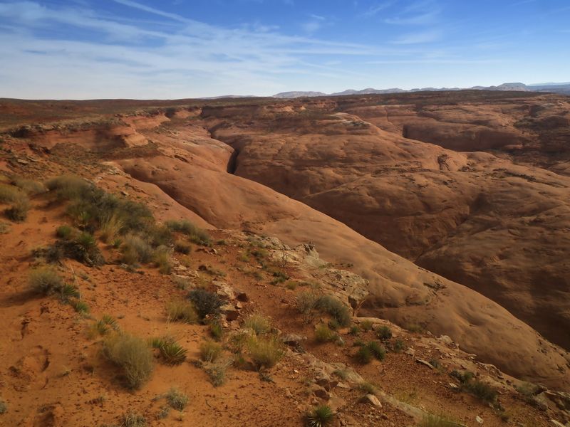 File:Hog 1 Canyon (Boss Hog) Banner.jpg