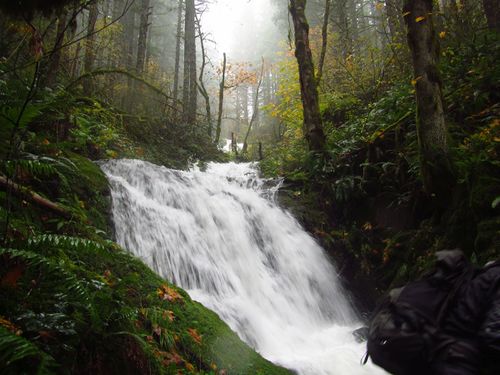 Little Woodward Creek-20191211024503 pic.jpg