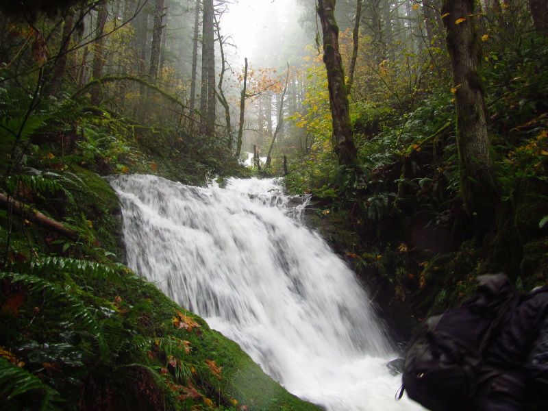 File:Little Woodward Creek-20191211024503 pic.jpg