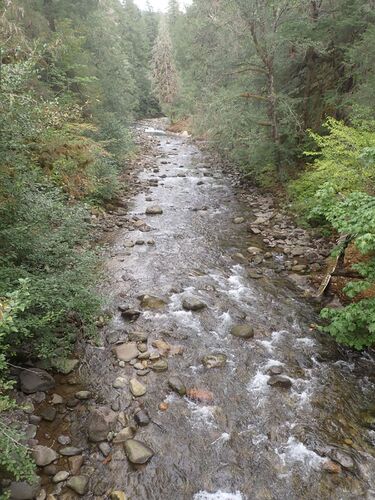 Cortright Creek-20250908235342 pic.jpg
